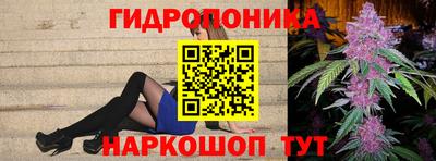 молекула духа Краснознаменск