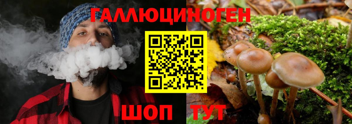 Псилоцибиновые грибы прущие грибы Красногорск